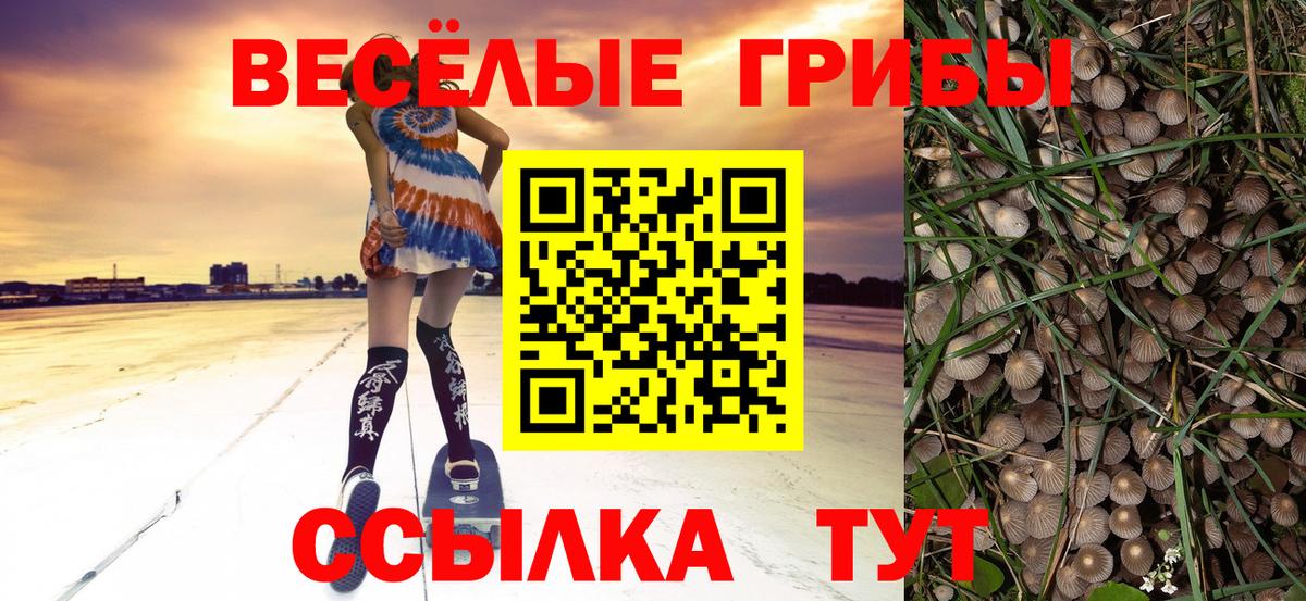 Скопин  Галлюциногенные грибы Psilocybine cubensis  хочу   Вход с VPN 